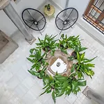 Patio Nazari