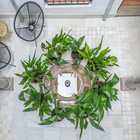Patio Nazari